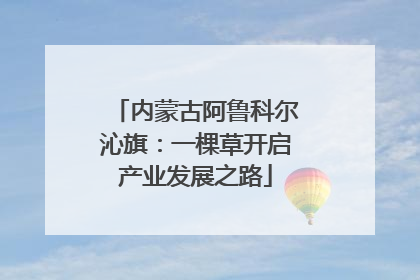 内蒙古阿鲁科尔沁旗：一棵草开启产业发展之路