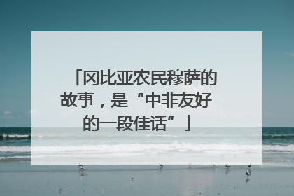 冈比亚农民穆萨的故事，是“中非友好的一段佳话”