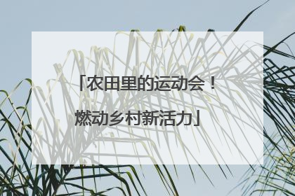 农田里的运动会！燃动乡村新活力