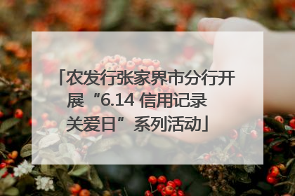 农发行张家界市分行开展“6.14 信用记录关爱日”系列活动