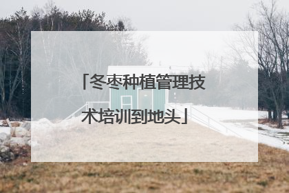 冬枣种植管理技术培训到地头