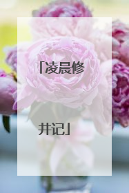 凌晨修井记