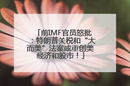 前IMF官员怒批：特朗普关税和“大而美”法案或重创美经济和股市！