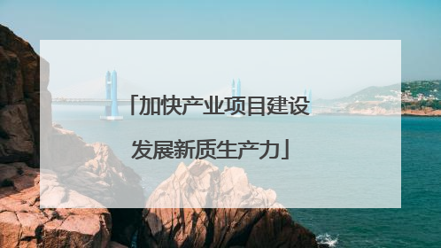 加快产业项目建设 发展新质生产力