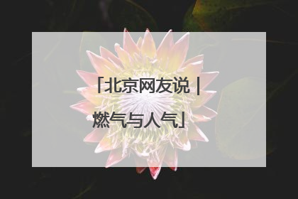 北京网友说｜燃气与人气