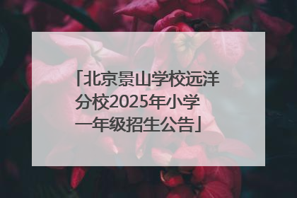 北京景山学校远洋分校2025年小学一年级招生公告