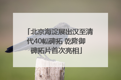 北京海淀展出汉至清代40幅碑拓 乾隆御碑拓片首次亮相