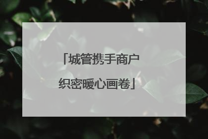城管携手商户 织密暖心画卷