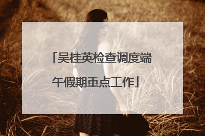吴桂英检查调度端午假期重点工作