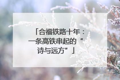 合福铁路十年：一条高铁串起的“诗与远方”