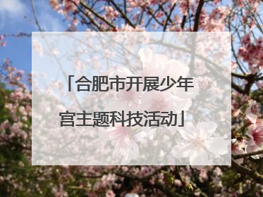 合肥市开展少年宫主题科技活动