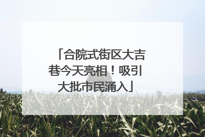 合院式街区大吉巷今天亮相！吸引大批市民涌入