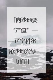 向沙地要“产值”——辽宁科尔沁沙地兴绿见闻