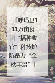 呼玛县111万亩良田“播种收官”科技护航蓄力“金秋丰景”