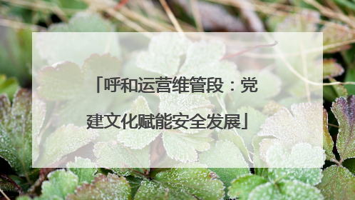 呼和运营维管段：党建文化赋能安全发展