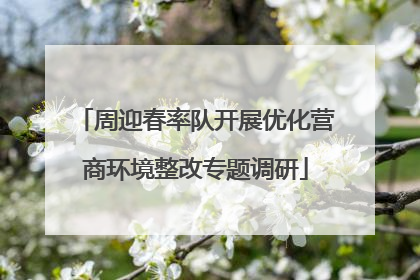 周迎春率队开展优化营商环境整改专题调研