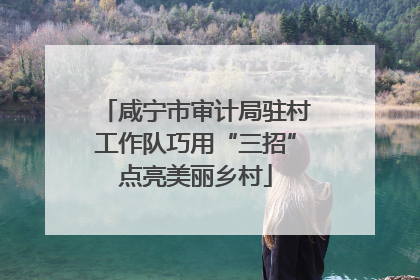 咸宁市审计局驻村工作队巧用“三招”点亮美丽乡村
