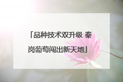 品种技术双升级 秦岗葡萄闯出新天地