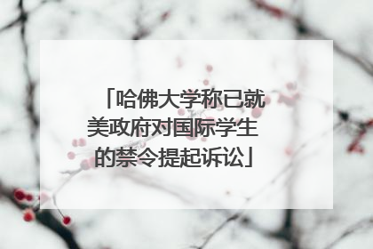 哈佛大学称已就美政府对国际学生的禁令提起诉讼