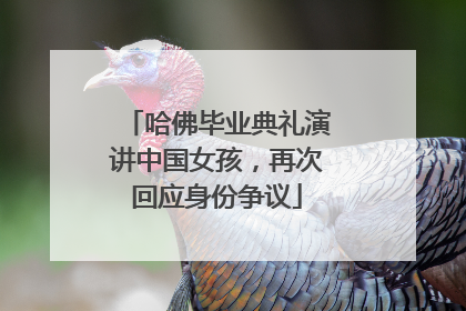 哈佛毕业典礼演讲中国女孩，再次回应身份争议