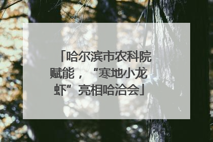 哈尔滨市农科院赋能，“寒地小龙虾”亮相哈洽会
