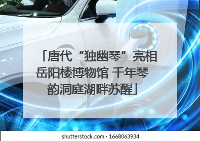 唐代“独幽琴”亮相岳阳楼博物馆 千年琴韵洞庭湖畔苏醒