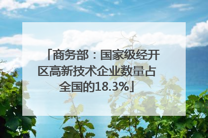 商务部：国家级经开区高新技术企业数量占全国的18.3%