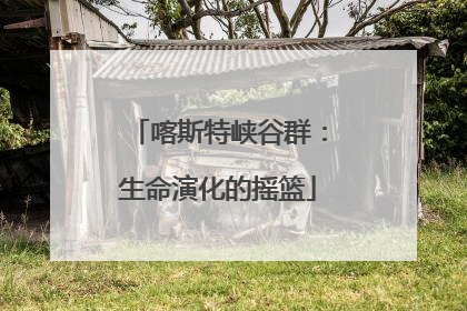 喀斯特峡谷群：生命演化的摇篮