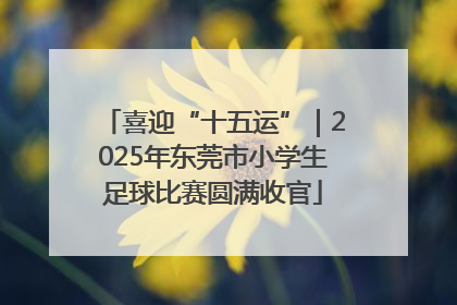 喜迎“十五运”｜2025年东莞市小学生足球比赛圆满收官
