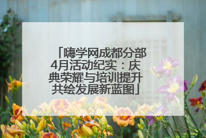 嗨学网成都分部4月活动纪实：庆典荣耀与培训提升共绘发展新蓝图