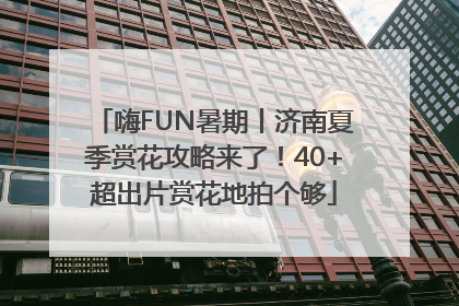 嗨FUN暑期丨济南夏季赏花攻略来了！40+超出片赏花地拍个够