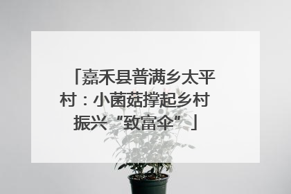 嘉禾县普满乡太平村：小菌菇撑起乡村振兴“致富伞”
