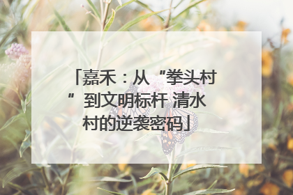 嘉禾：从“拳头村”到文明标杆 清水村的逆袭密码