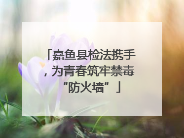 嘉鱼县检法携手，为青春筑牢禁毒“防火墙”