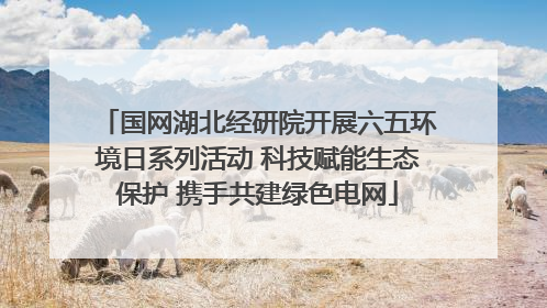国网湖北经研院开展六五环境日系列活动 科技赋能生态保护 携手共建绿色电网