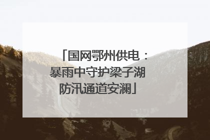 国网鄂州供电：暴雨中守护梁子湖防汛通道安澜