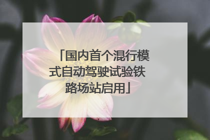 国内首个混行模式自动驾驶试验铁路场站启用
