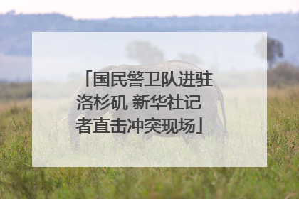 国民警卫队进驻洛杉矶 新华社记者直击冲突现场