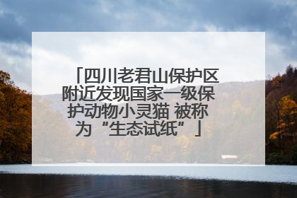 四川老君山保护区附近发现国家一级保护动物小灵猫 被称为“生态试纸”