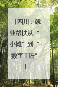 四川：就业帮扶从“小摊”到“数字工匠”