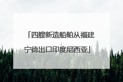 四艘新造船舶从福建宁德出口印度尼西亚