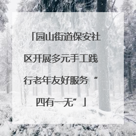 园山街道保安社区开展多元手工践行老年友好服务“四有一无”