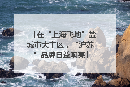 在“上海飞地”盐城市大丰区，“沪苏”品牌日益响亮