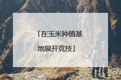 在玉米种植基地展开竞技