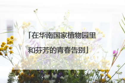 在华南国家植物园里和芬芳的青春告别