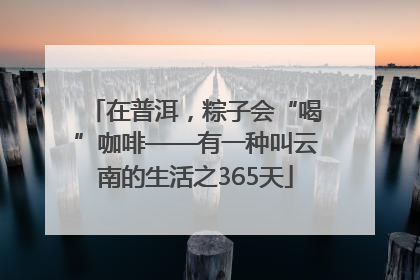 在普洱，粽子会“喝”咖啡——有一种叫云南的生活之365天