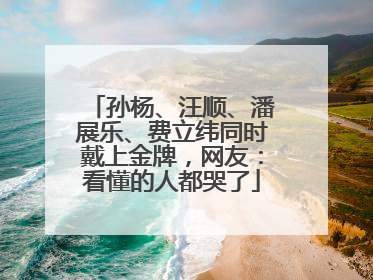 孙杨、汪顺、潘展乐、费立纬同时戴上金牌，网友：看懂的人都哭了