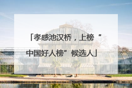 孝感池汉桥，上榜“中国好人榜”候选人