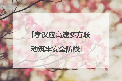 孝汉应高速多方联动筑牢安全防线