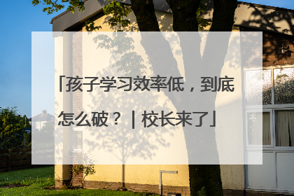 孩子学习效率低，到底怎么破？｜校长来了